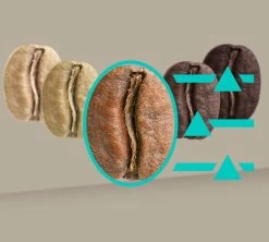 SIEMENS EQ.900 TQ905R03 Inox Garantie 3 Ans -Vente De Café 8siemenseq900inox