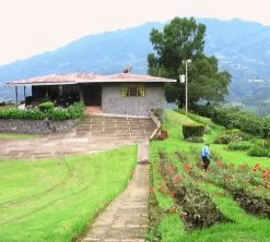 4x250g Café En Grain Bio La Esperanza - Cafés Lugat -Vente De Café cafe grains esperanza colombie 3