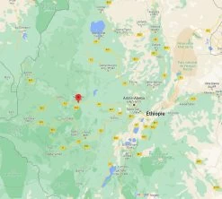 4x250g Café En Grain Bio - Ethiopie Moka Nekemte - CAFES LUGAT -Vente De Café cafeengraincafeslugatethiopie