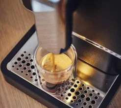 1kg Café En Grain Bio Monte Verde - GREEN LION COFFEE -Vente De Café cafengraingreenlioncoffee