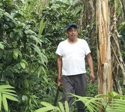 Café En Grains Bio : Mexique - Sueño - Décaféiné à L'eau - 1Kg - Cafés Lugat -Vente De Café decafeine altura mexique 4