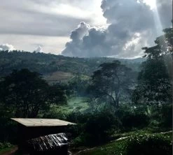 Café En Grains Mahembe - Rwanda Filtre - 250g - The Barn -Vente De Café mahembe the barn grain 4