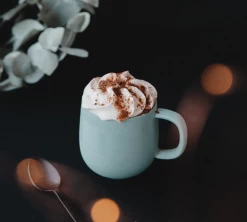 Mug Terra Sauge - 33 Cl - PYLANO -Vente De Café pylano tasse terra lifestyle