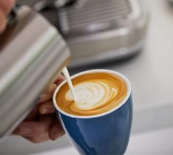 Machine Expresso SAGE Barista Express SES875BSS2EEU1A Inox Brossé -Vente De Café sage barista express 4